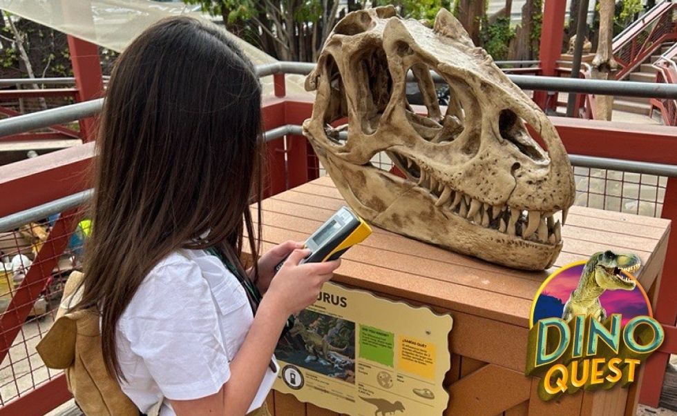 Dino Quest Discovery Cube