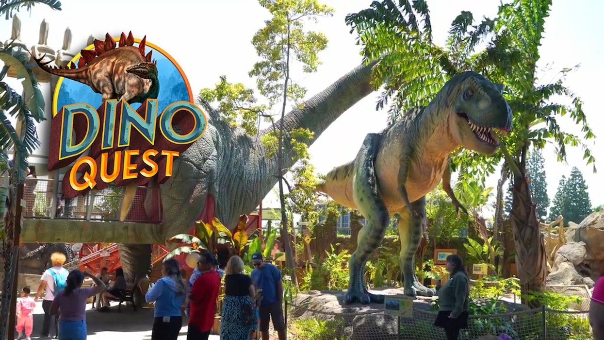 dino quest exhibit area Discovery Cube Beaudry Interactive