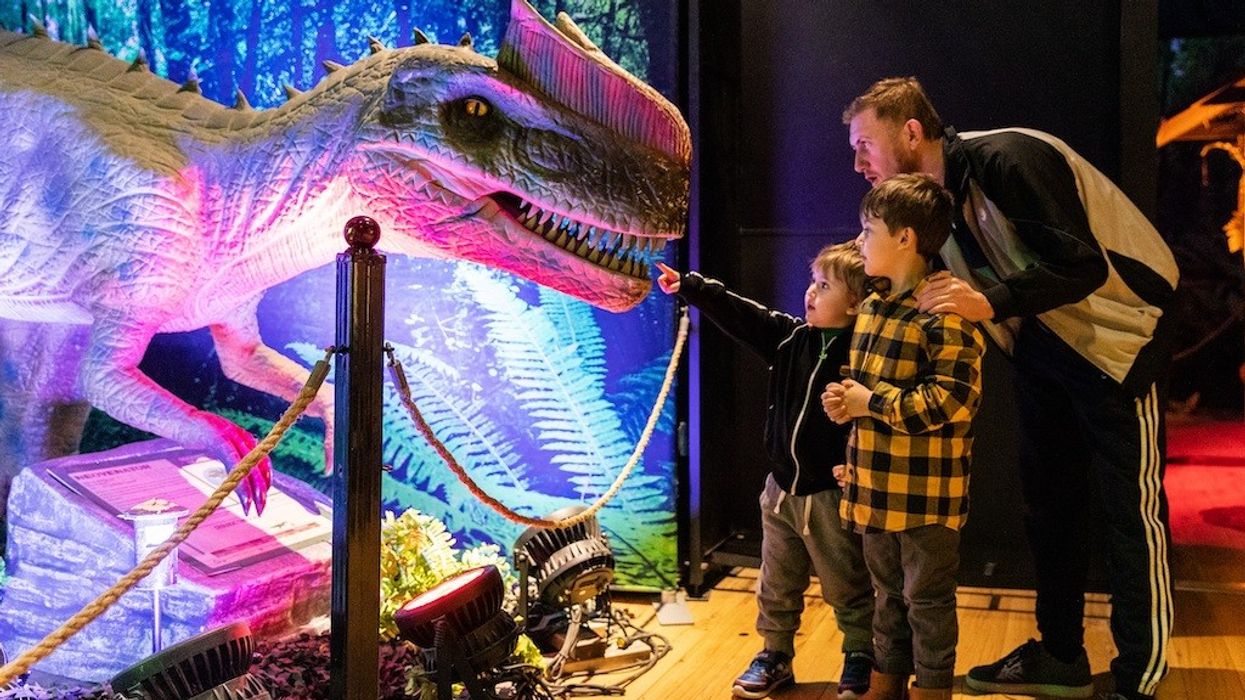 Dino-Safari-Imagine-Exhibitions