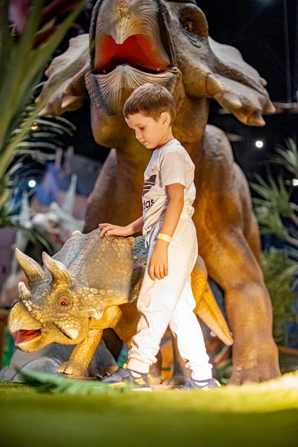 Dinos at Dream Island