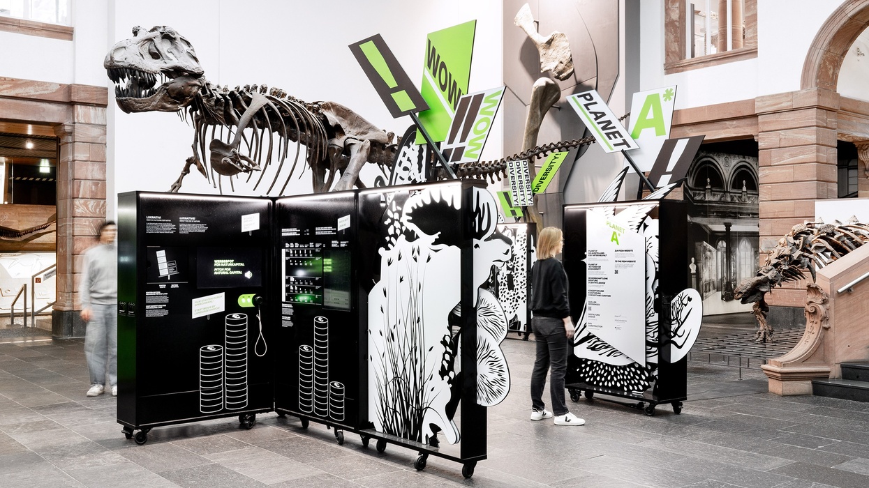 Dinosaur exhibits and interactive panels in a modern museum setting.