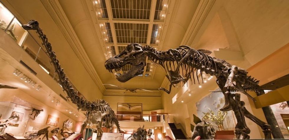 dinosaur hall smithsonian natural history museum