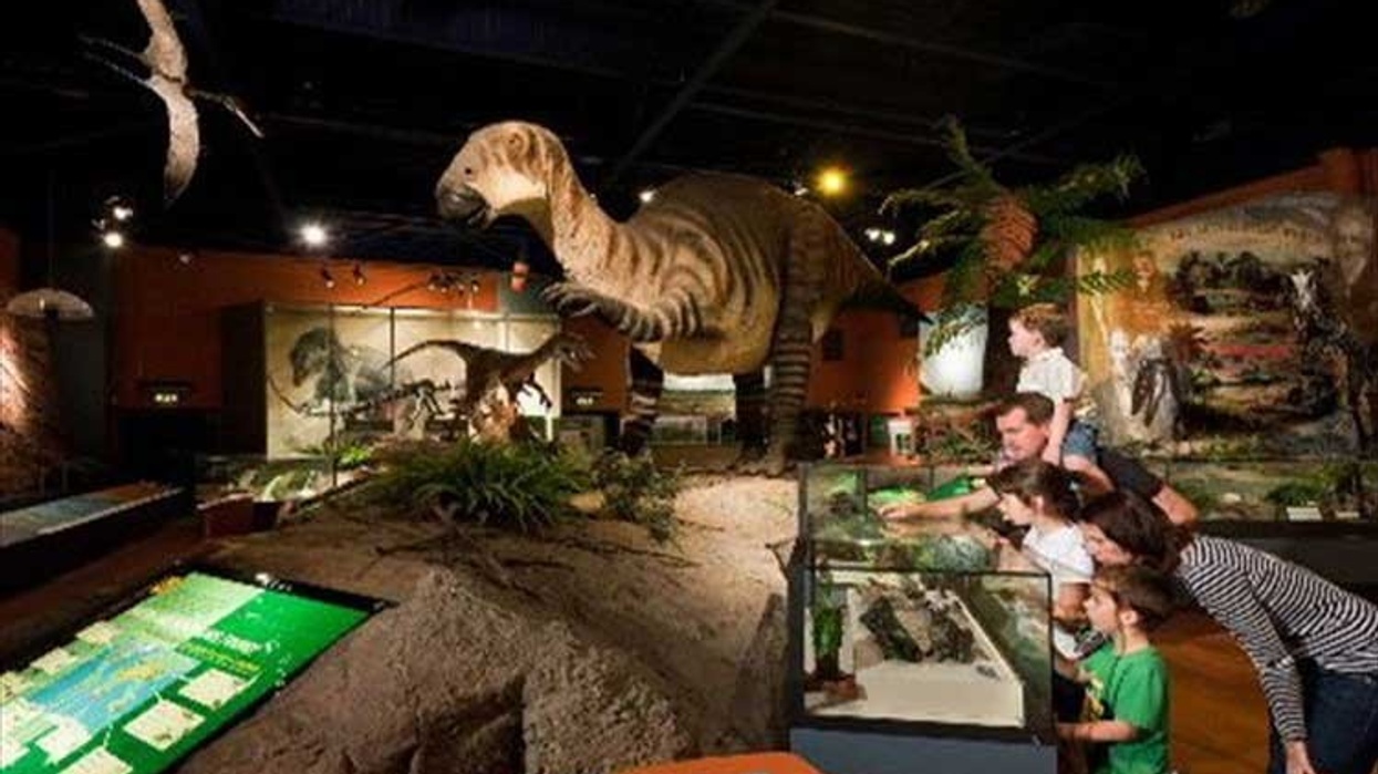 dinosaur isle of wight