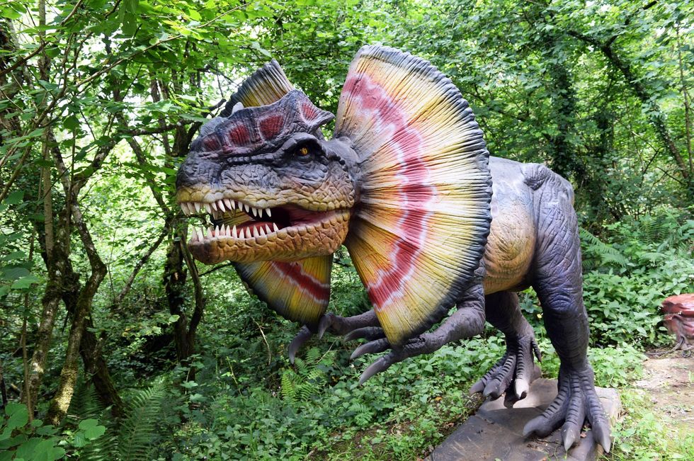 Dinosaur model at the Dinosaur Park in Tenby with colorful frill in a lush, green forest setting.