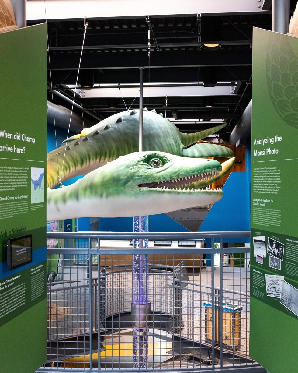 Dinosaur model suspended in museum with informational panels in view.