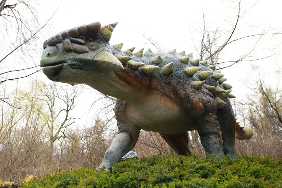 Dinosaur Safari Dino Don