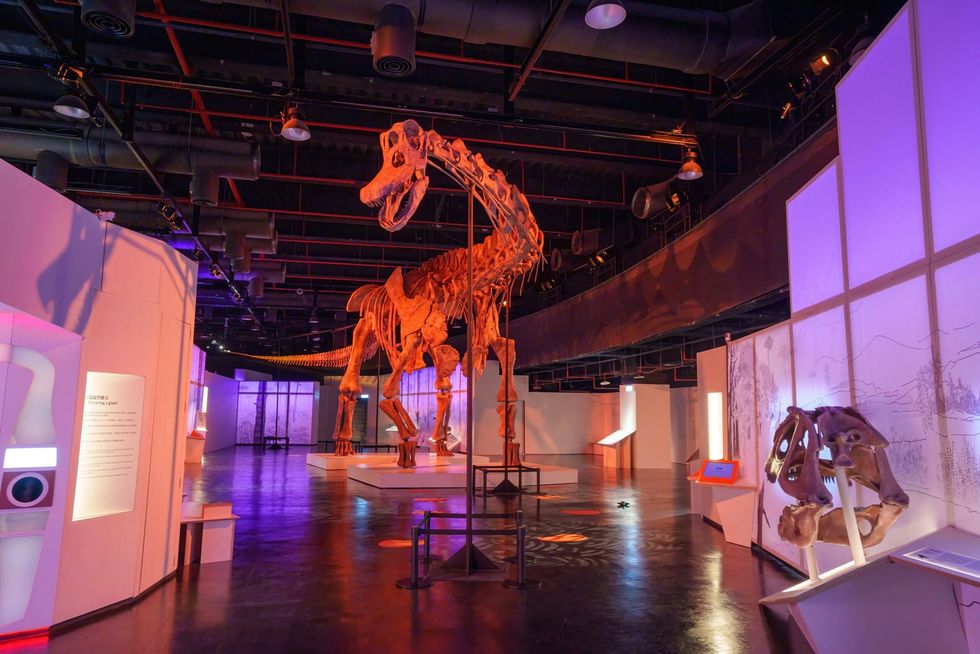 Dinosaur skeleton exhibit in a dimly lit museum with informational displays and lighting.