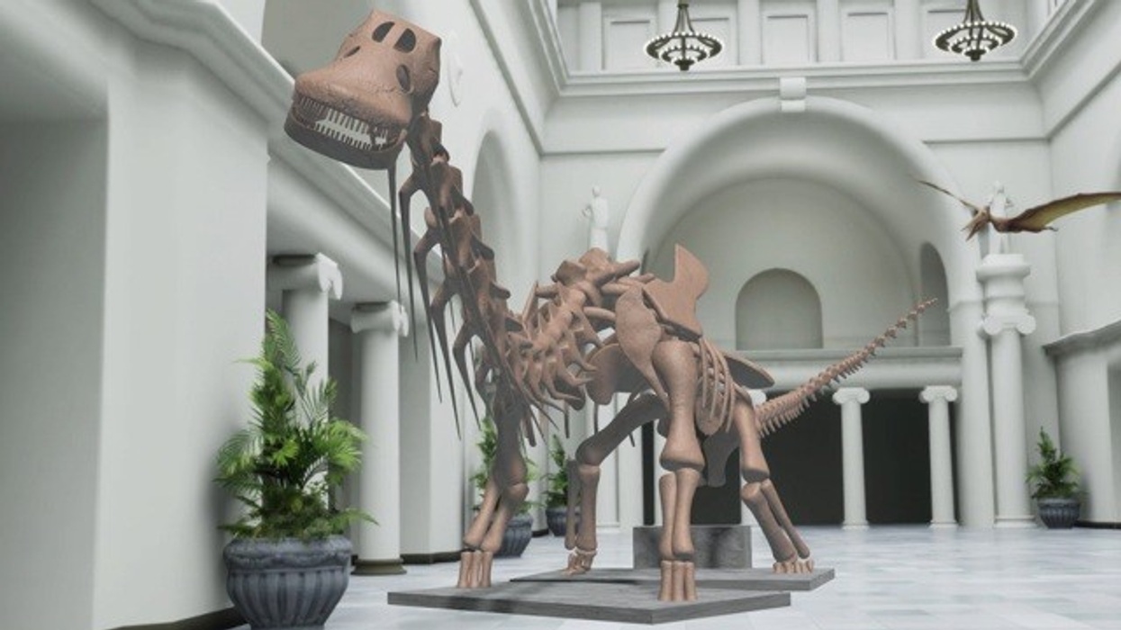 Dinosaur skeleton in a spacious hall with high ceilings and two chandeliers.