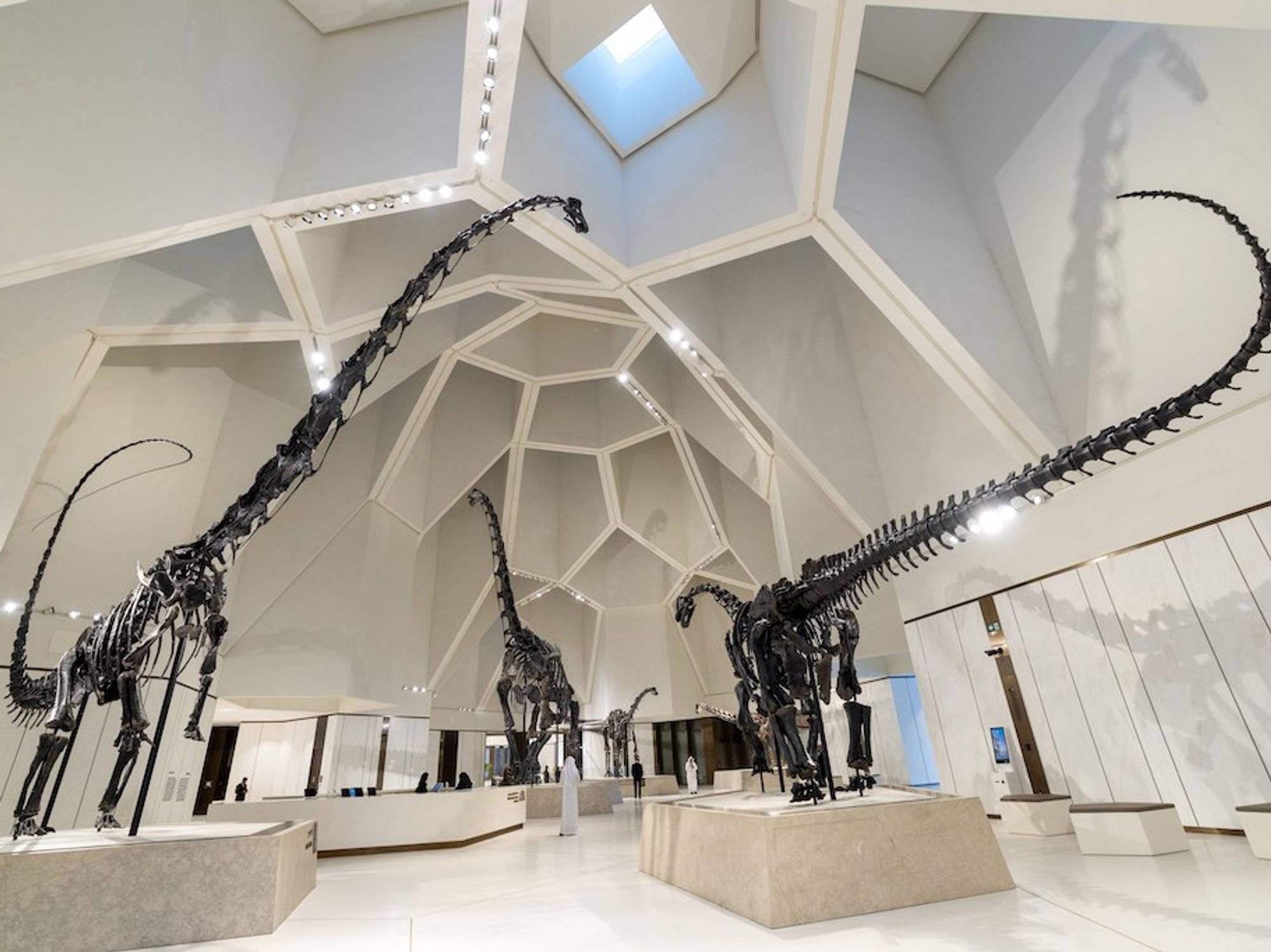 National History Museum Abu Dhabi opens | blooloop