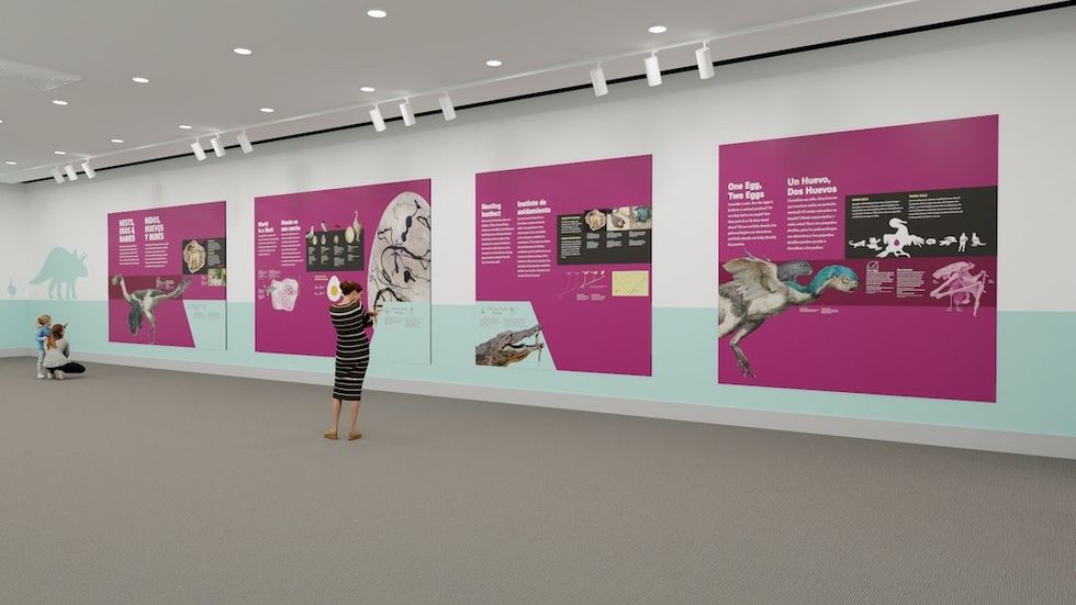 Dinosaurs Among Us AMNH