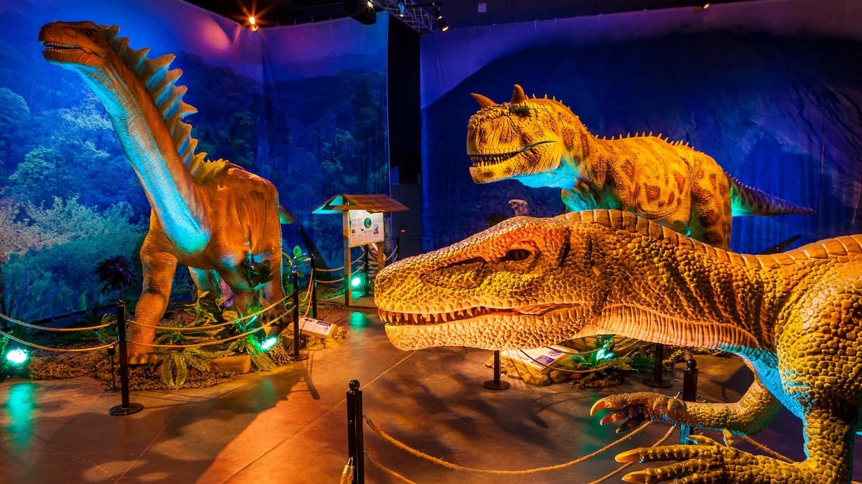 Dinosaurs Around the World exhibition