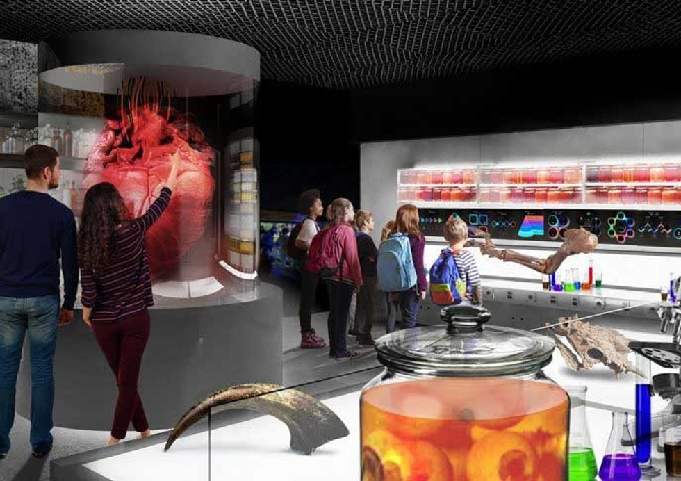 dinosaurs in the wild pathology lab