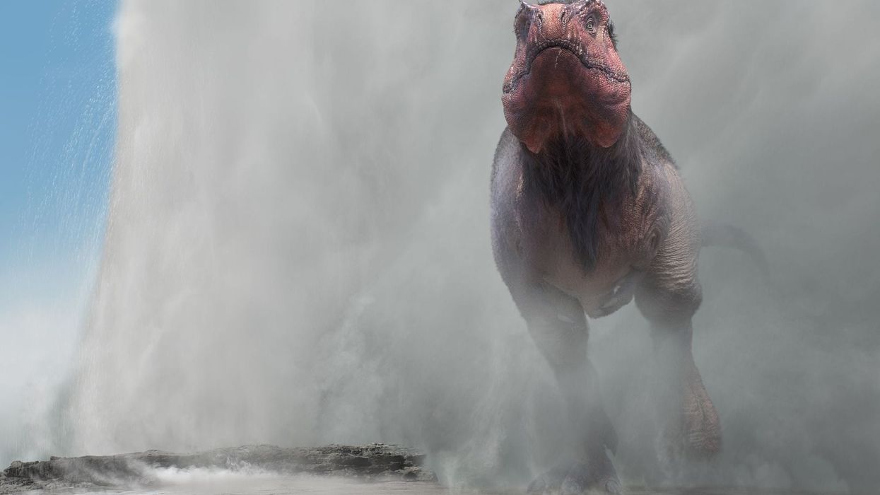 Dinosaurs in the Wild reveal a Tyrannosaurus and geyser