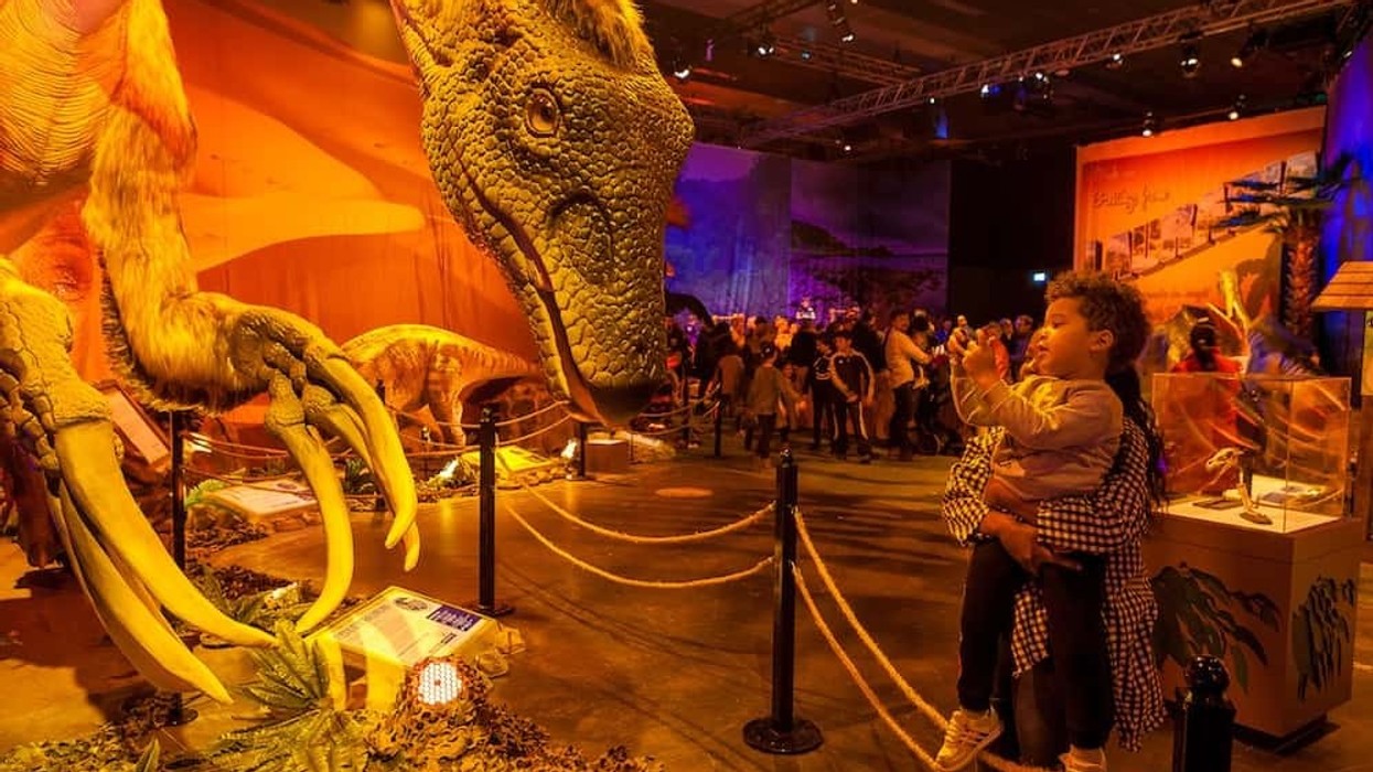 DinoWorld Exhibitions Imagine Exhibitions