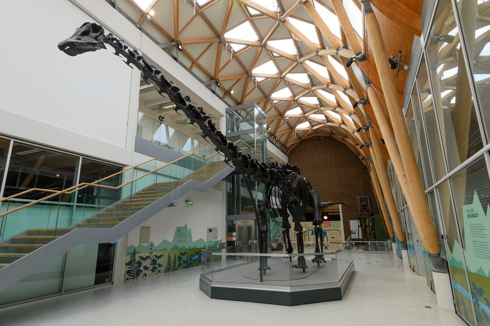 dippy the dinosaur coventry