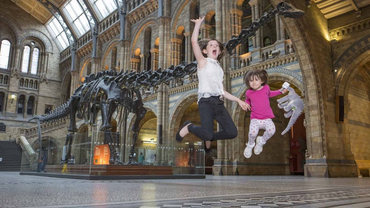 dippy the dinosaur natural history museum