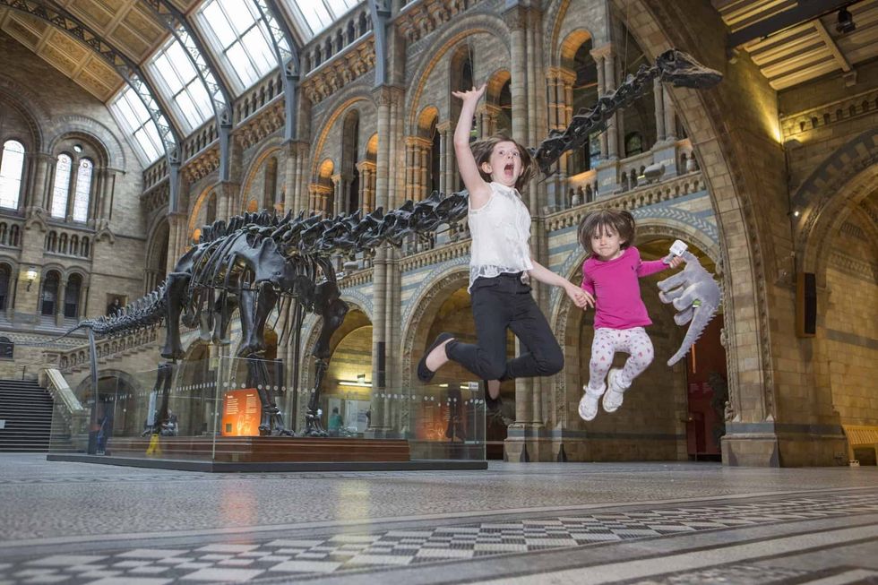 dippy the dinosaur natural history museum