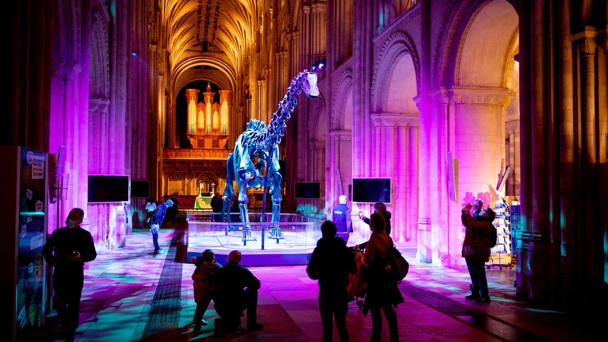dippy the dinosaur nhm tour