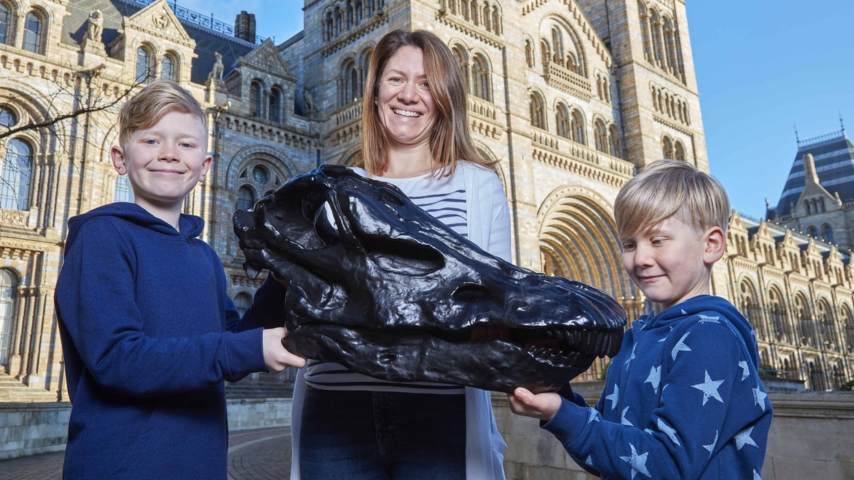 dippy the dinosaur replica natural history museum