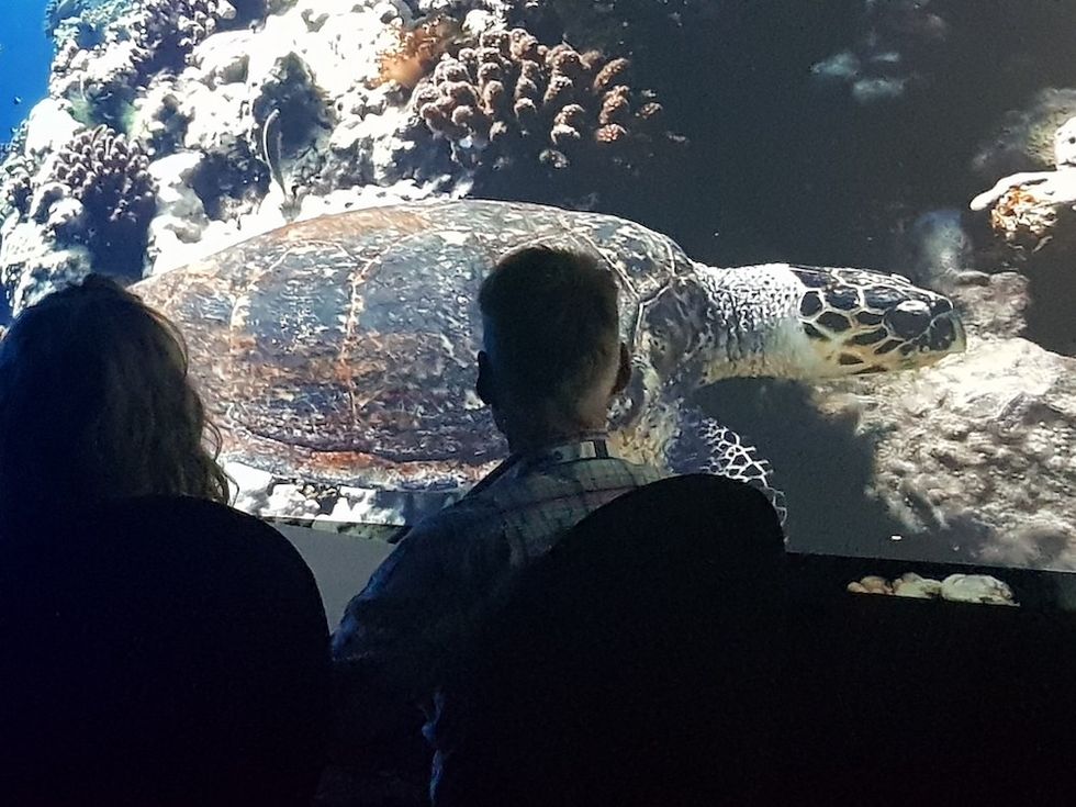 Discovery Destinations Holovis Partnership