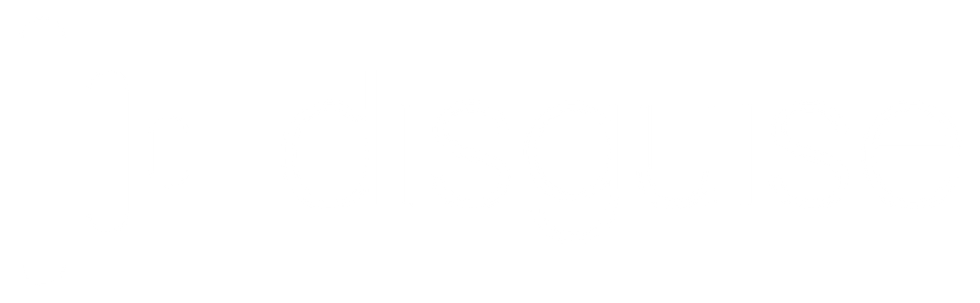 disguise logo White