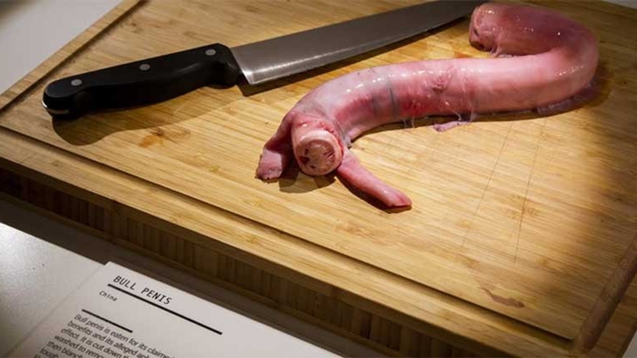 disgusting food museum