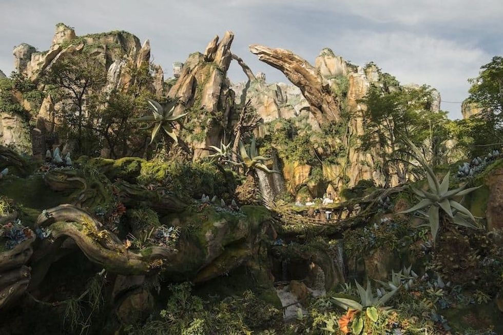 Disney-Animal-Kingdom-Pandora-Avatar experience concept attractions