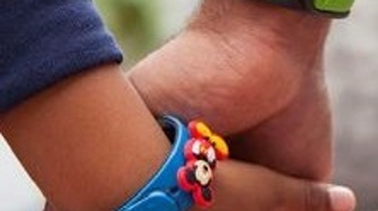 Disney Citizenship Performance Summary