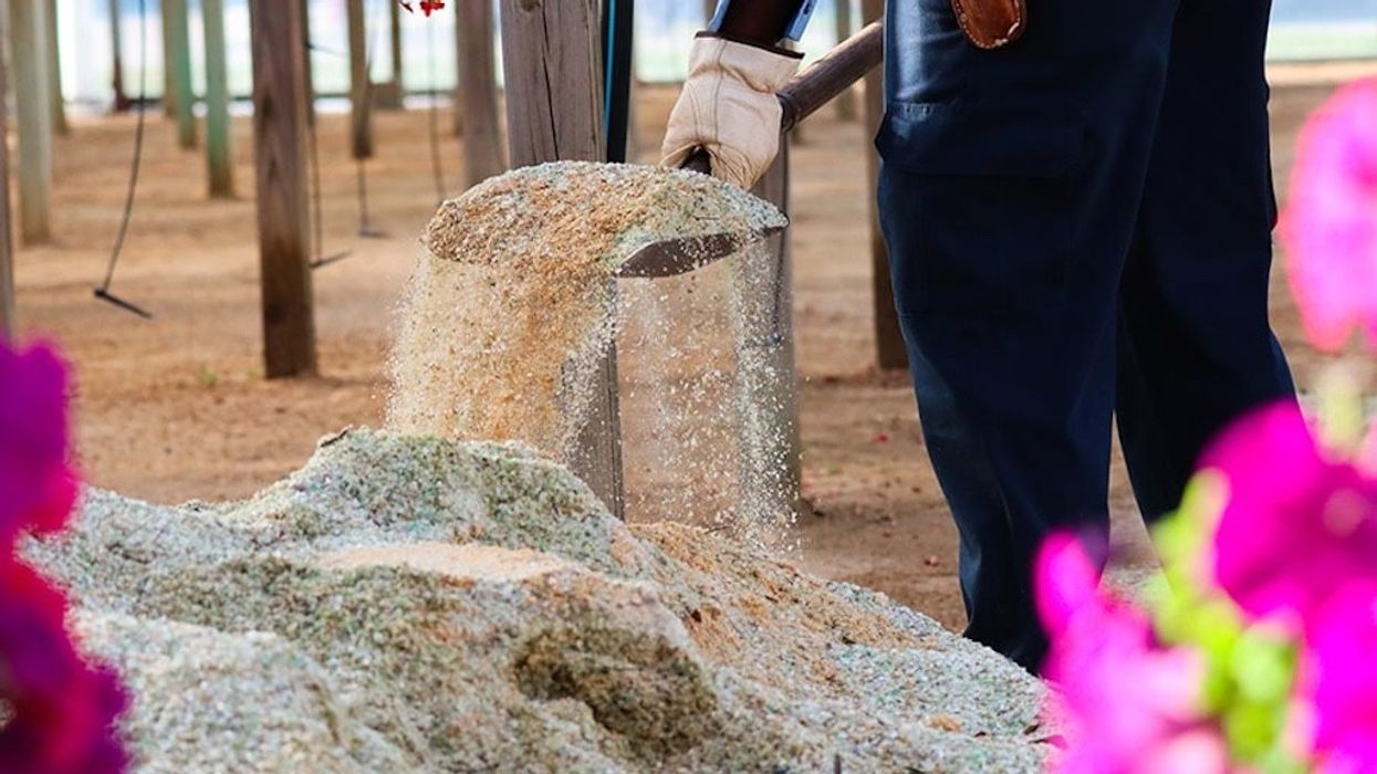 disney glass recycling