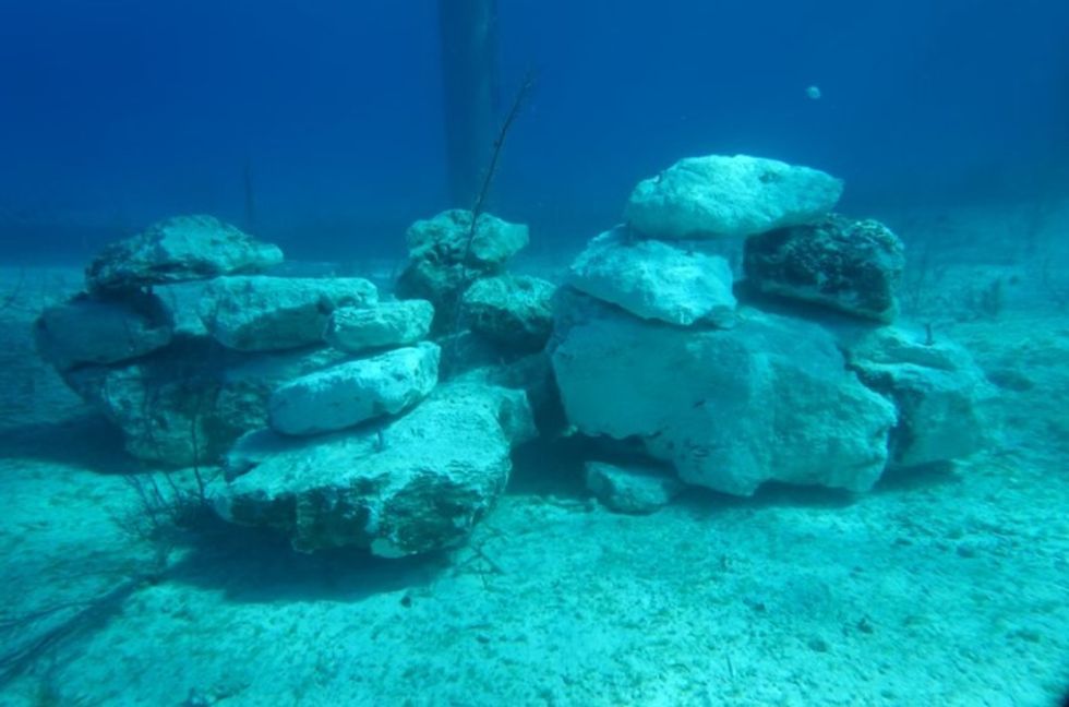 Disney Lookout Cay fish highway