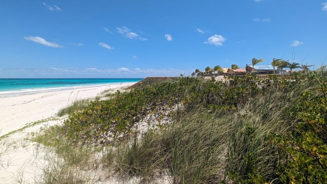 Disney Lookout Cay shrub filled dunes