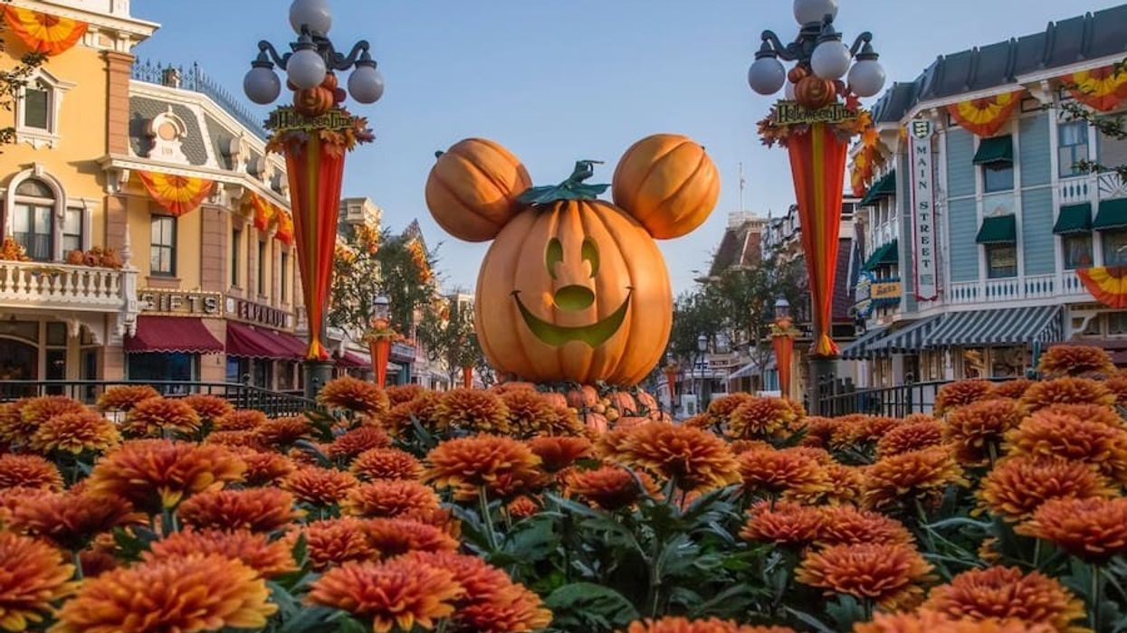 Disneyland-Halloween