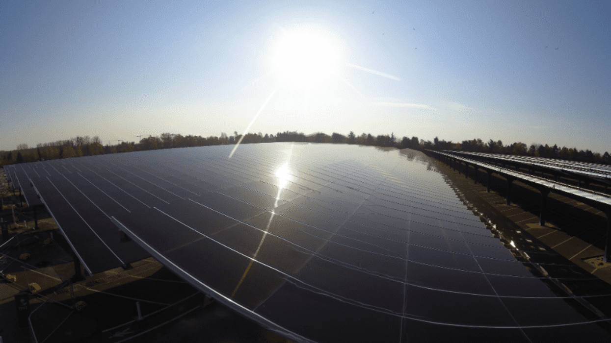 disneyland paris solar canopy plant