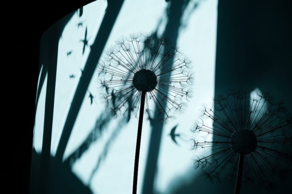 display at HC Andersen's House Hans Christian Andersen Museum