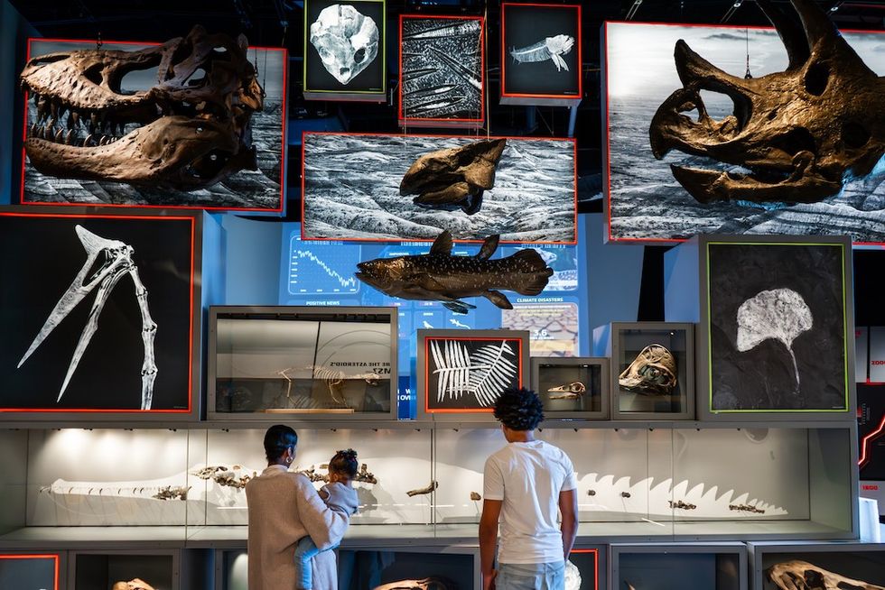 Displays at Edelman Fossil Park & Museum