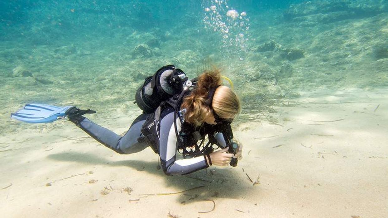 diver carries out marin research supported by clear reef social rund