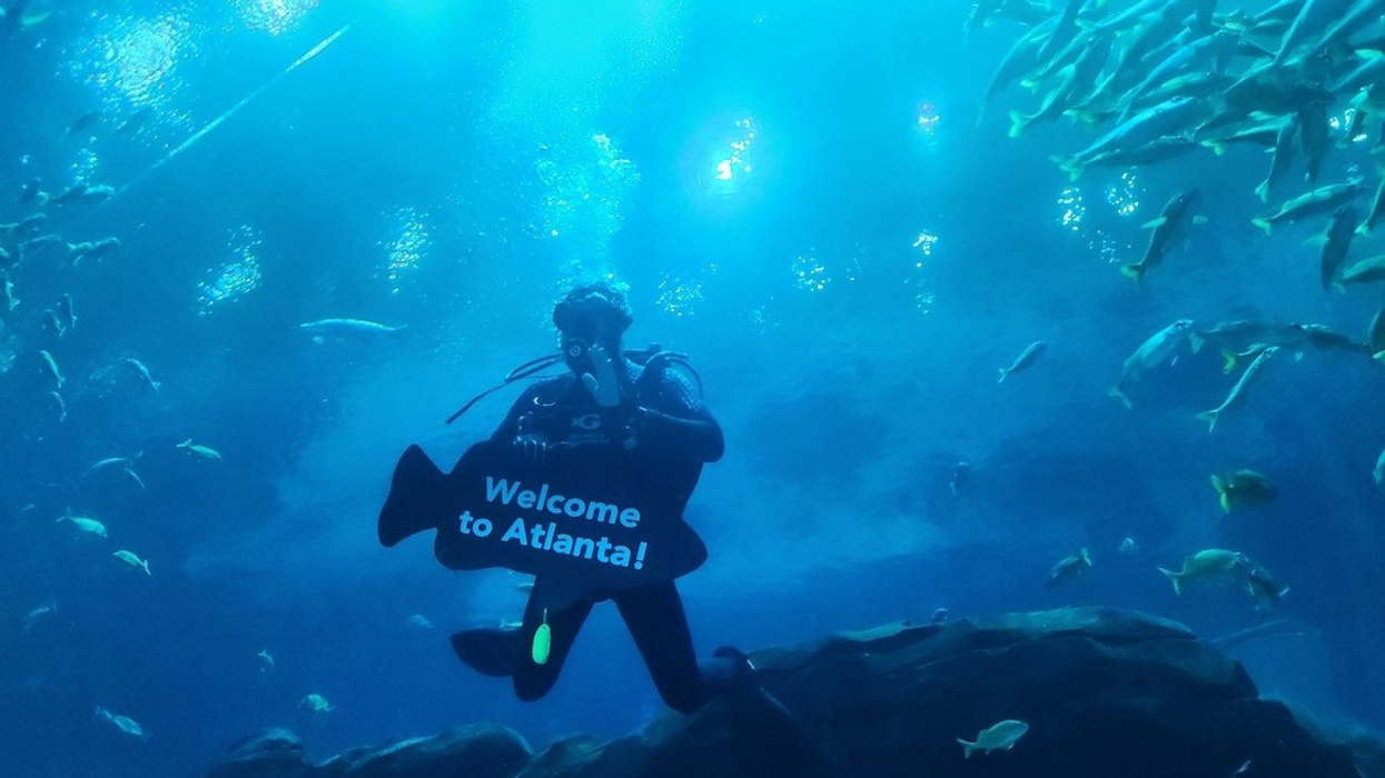 Diver holding "Welcome to Atlanta!" sign surrounded by fish underwater.