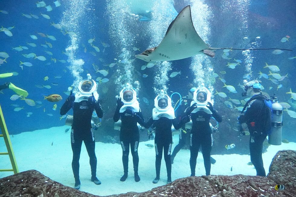 Divers with helmets underwater near a stingray and fish in a SeaTREK aquarium setting