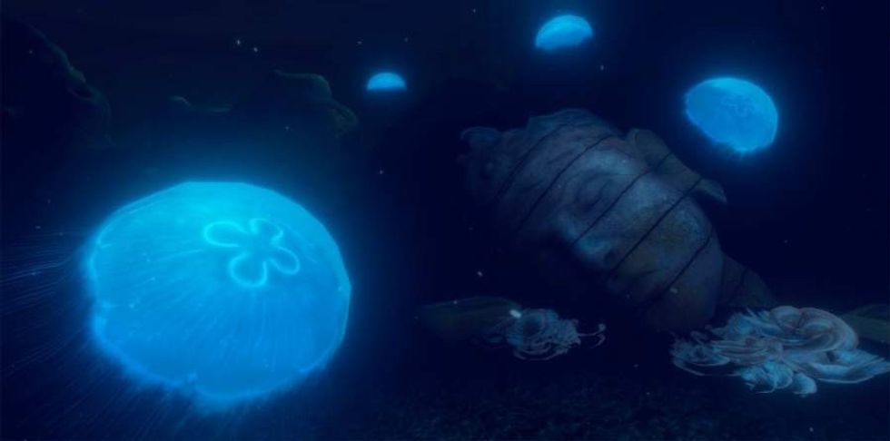 DIVR vr snorkelling attraction featuring jellyfish