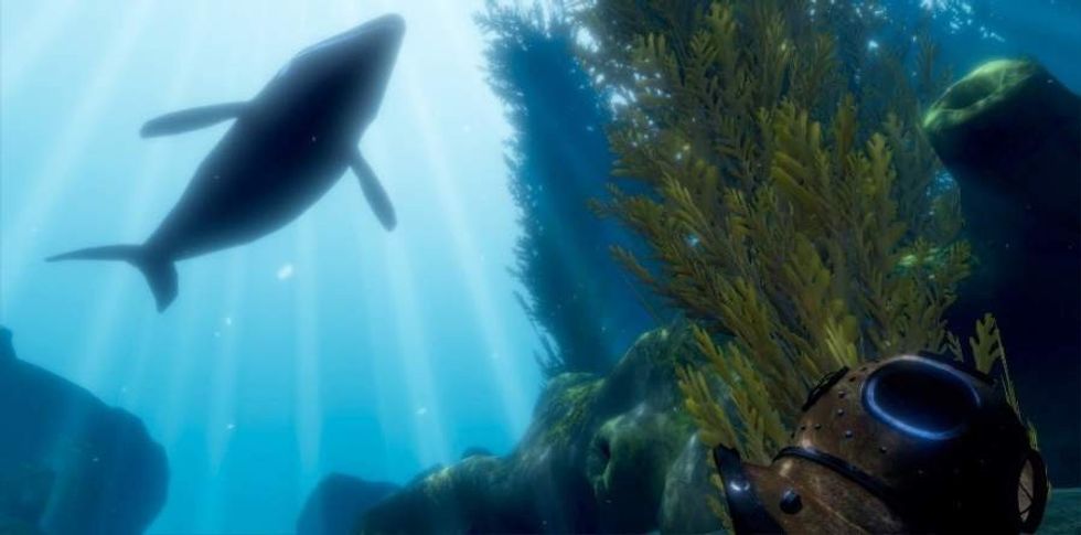 DIVR vr snorkelling experience showing humpback whale