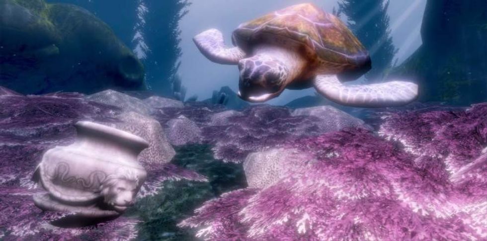 DIVR vr snorkelling with turtles