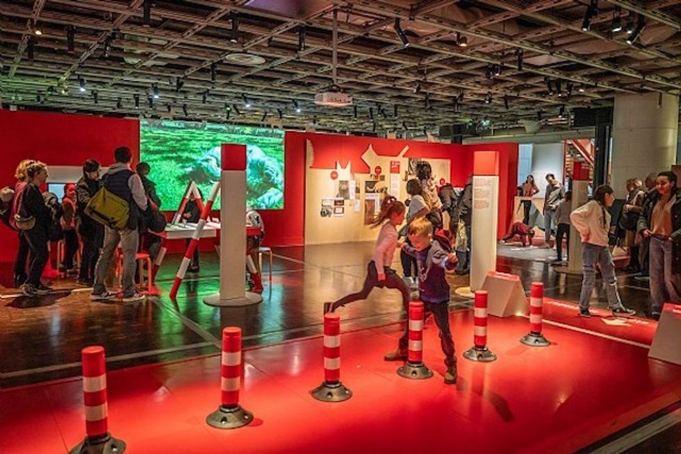 Dogs and Cats Universcience