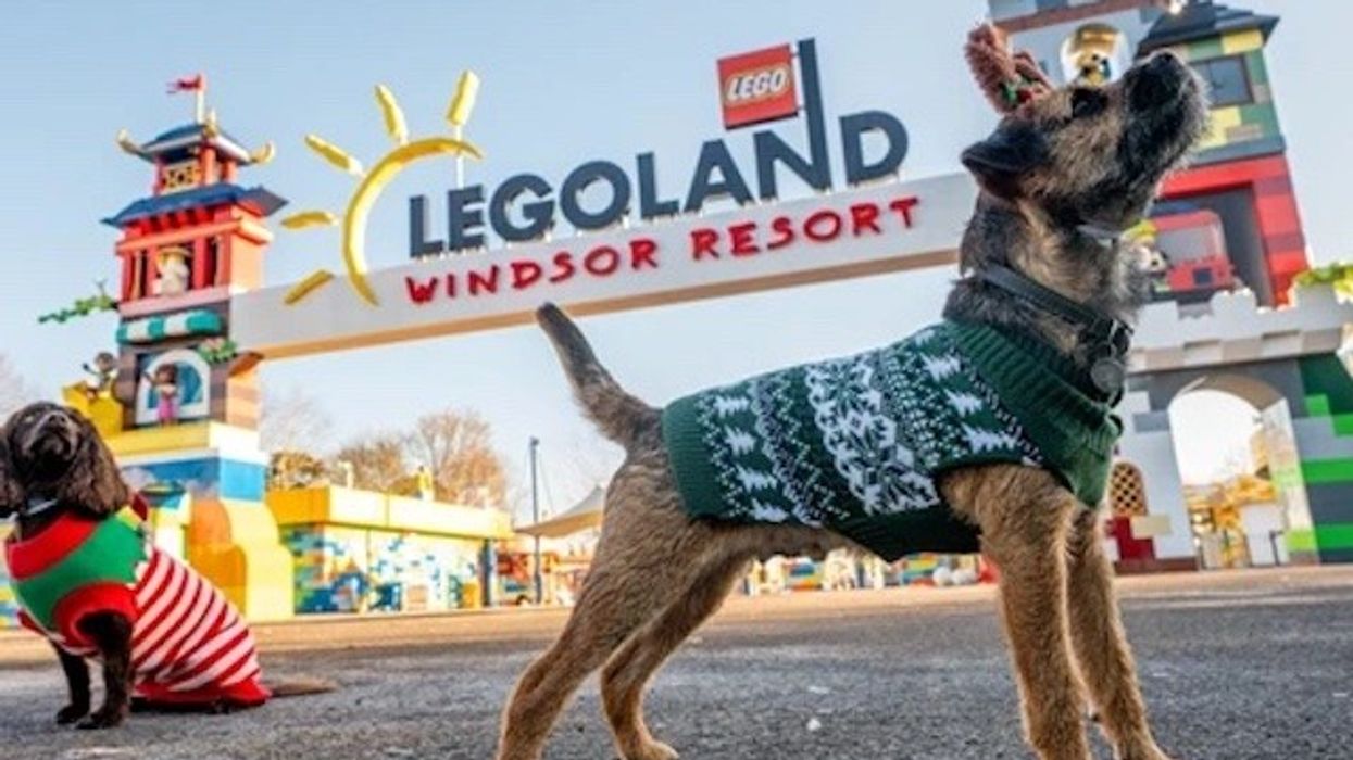 Dogs in festive sweaters at Legoland Windsor Resort entrance.