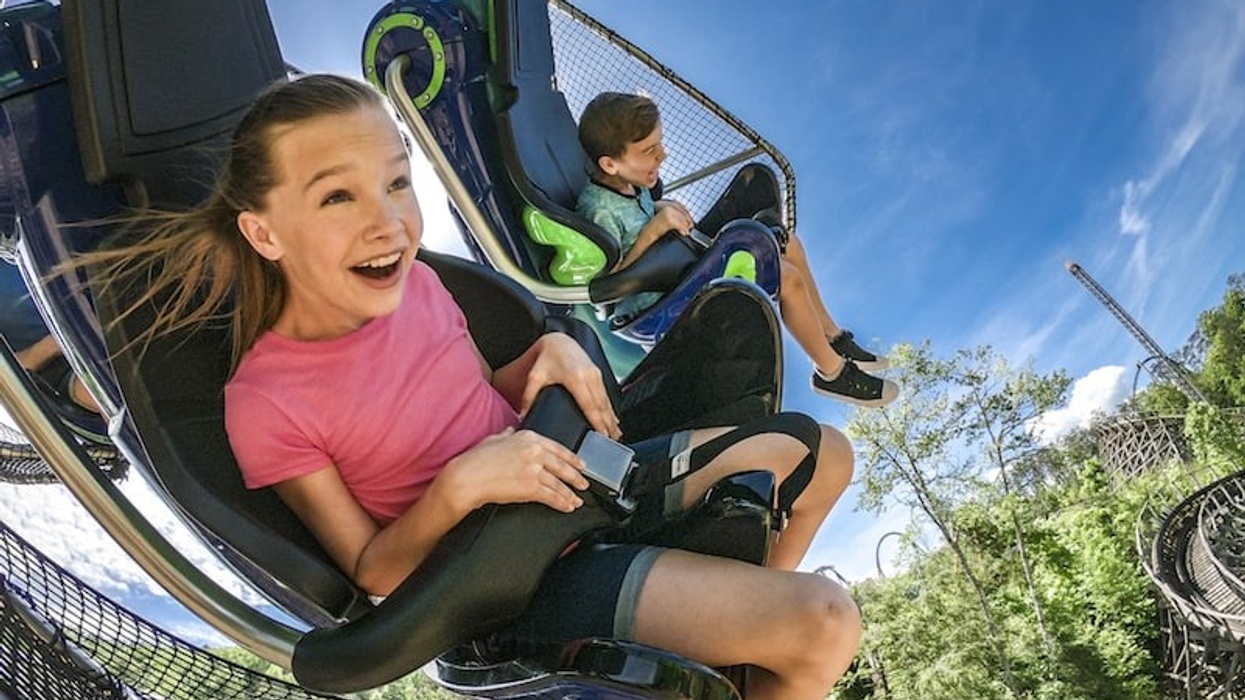 Dollywood Dragon Flier Vekoma