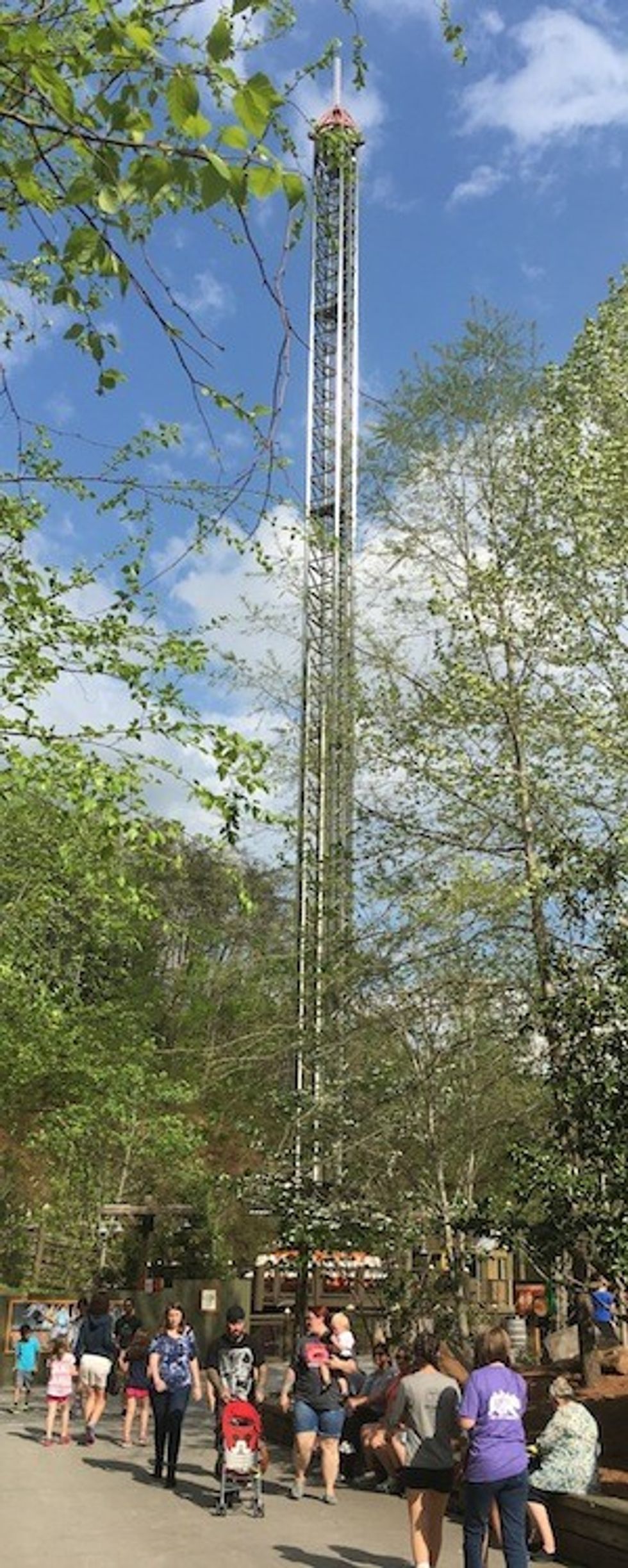 Dollywood Drop Line