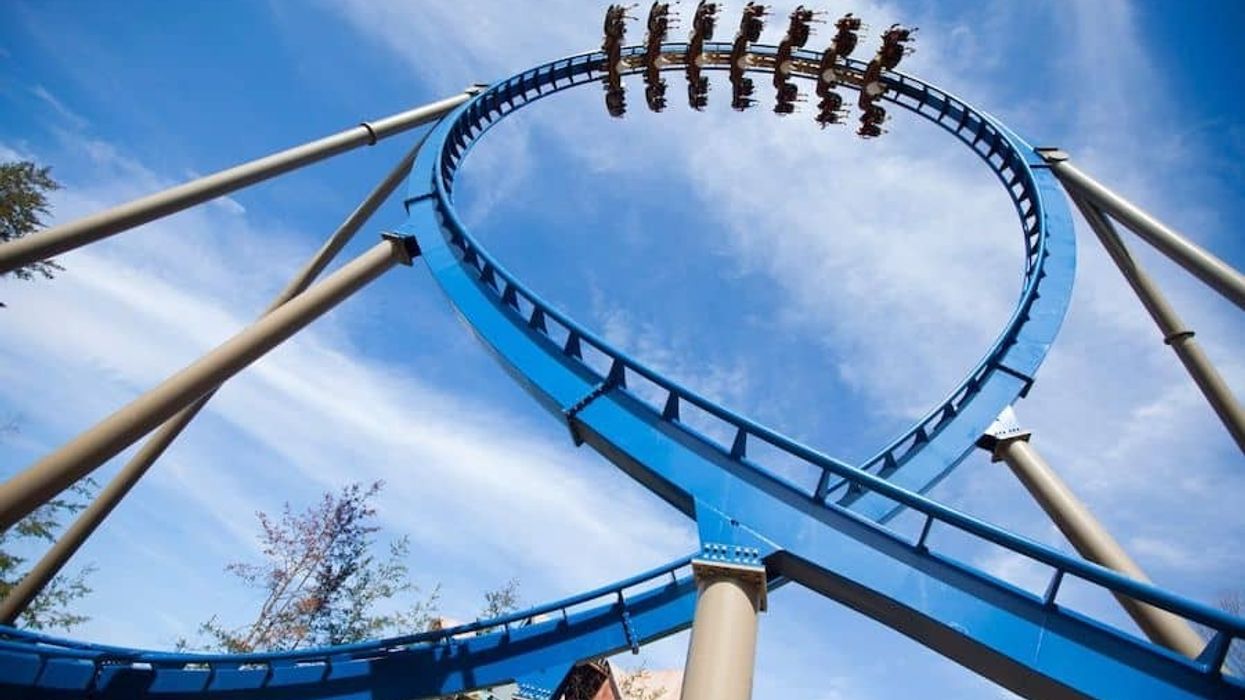 Dollywood Wild-Eagle