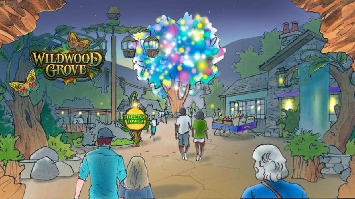 dollywood wildwood grove concept art