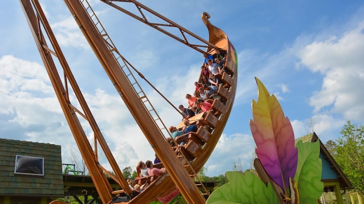 dollywood wildwood grove