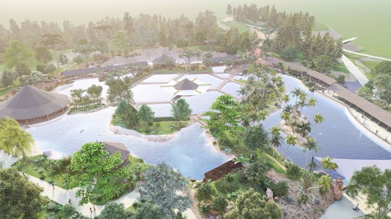 dolphin pools zooparc de beauval