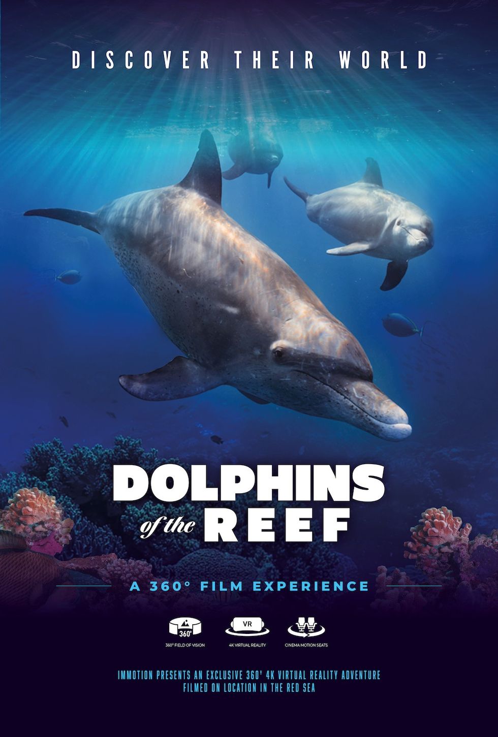 DOLPHINS OF THE REEF poster Immotion